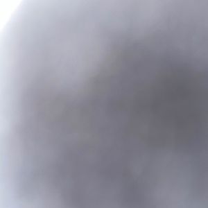 Meet your Posher, Brooklyn rose